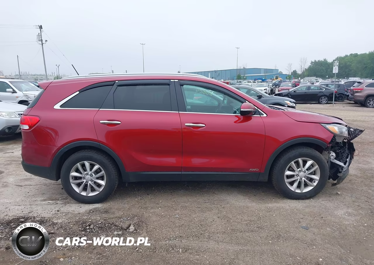 2016 Kia Sorento 2.4L Lx VIN:5XYPGDA33GG080098 - 13