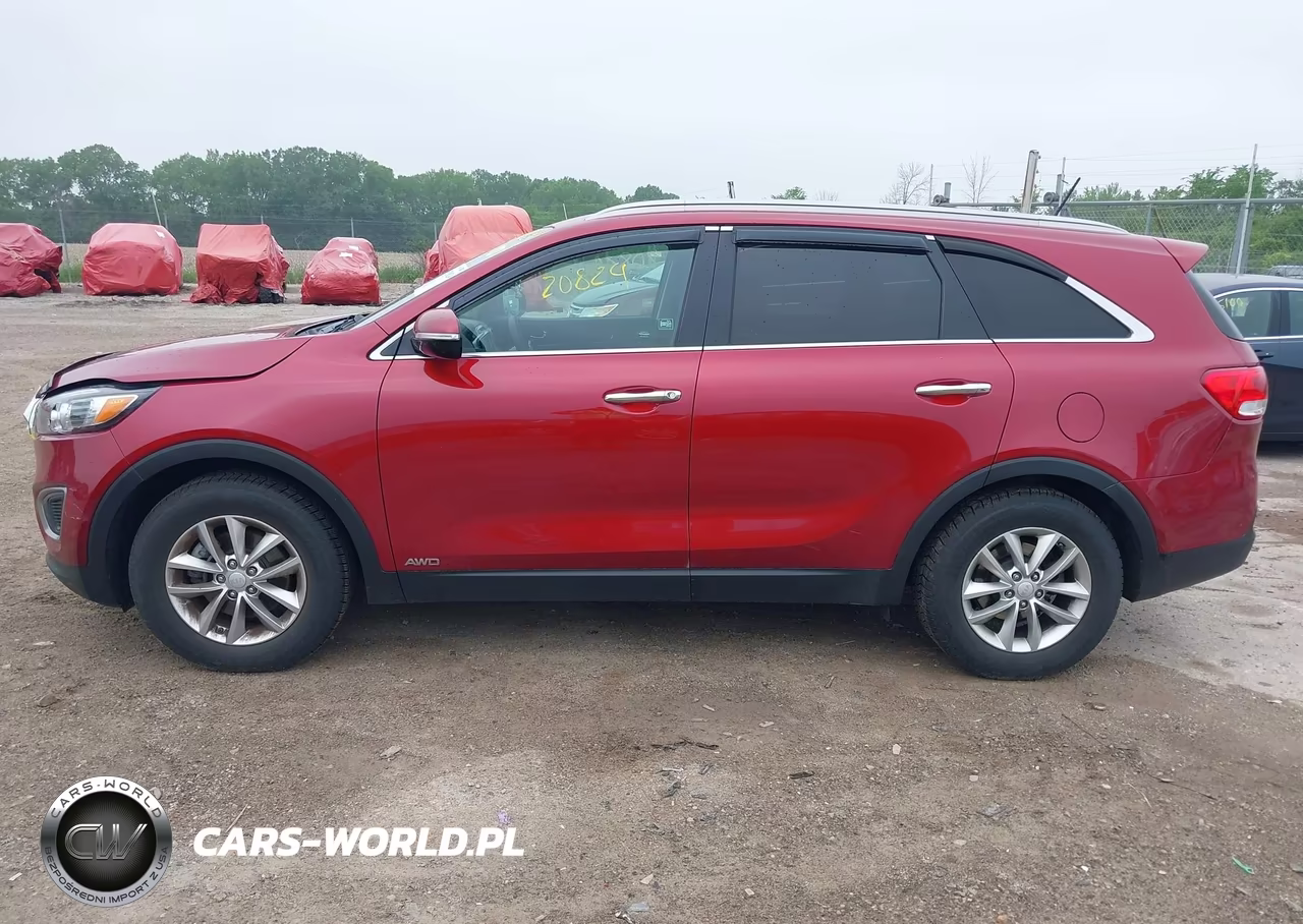 2016 Kia Sorento 2.4L Lx VIN:5XYPGDA33GG080098 - 14