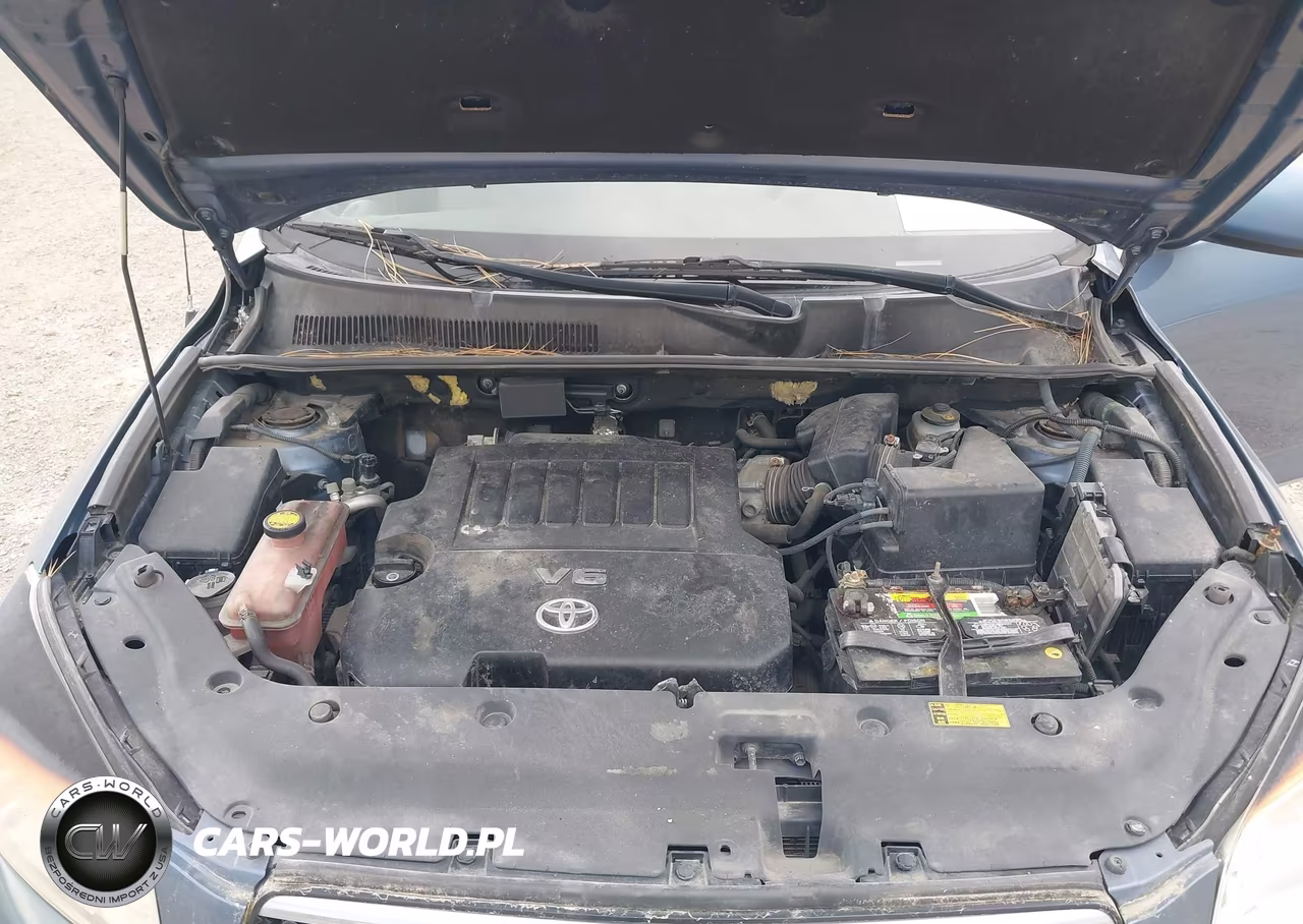 2006 Toyota Rav4 Limited V6 VIN:JTMBK31V765008011 - 10