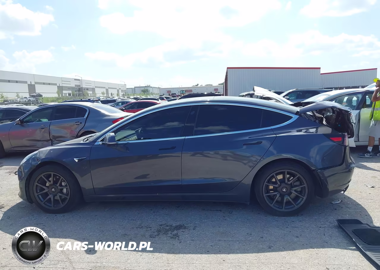 2020 Tesla Model 3 Long Range Dual Motor All-Wheel Drive VIN:5YJ3E1EB9LF534795 - 13