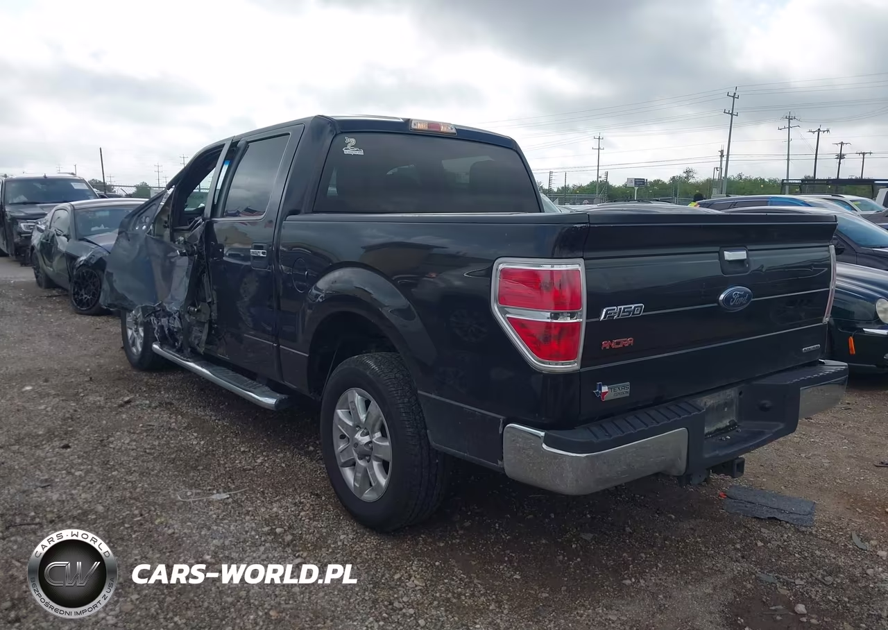 2013 Ford F-150 Xlt VIN:1FTFW1CF3DKE33563 - 3