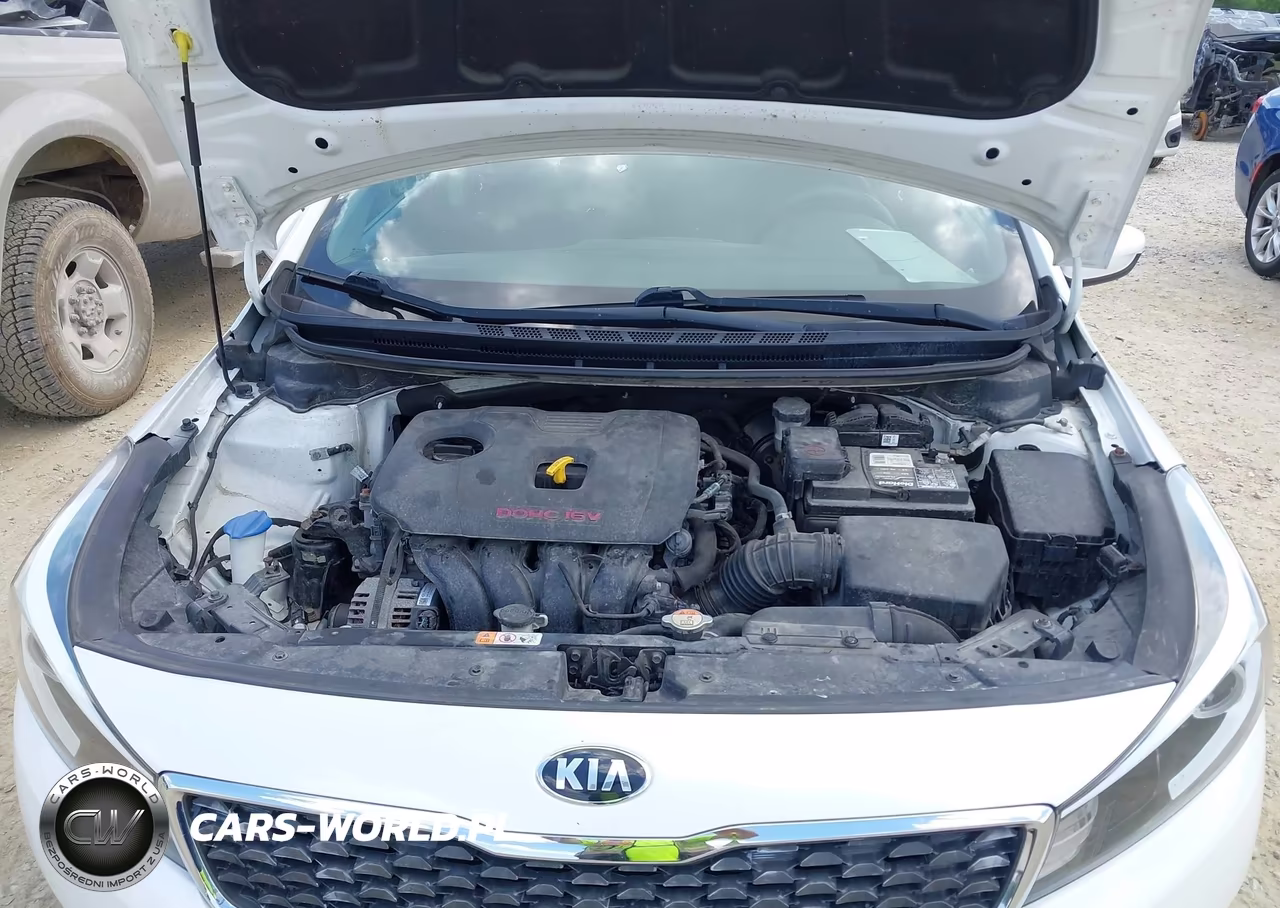 2018 Kia Forte Lx VIN:3KPFL4A77JE275667 - 10