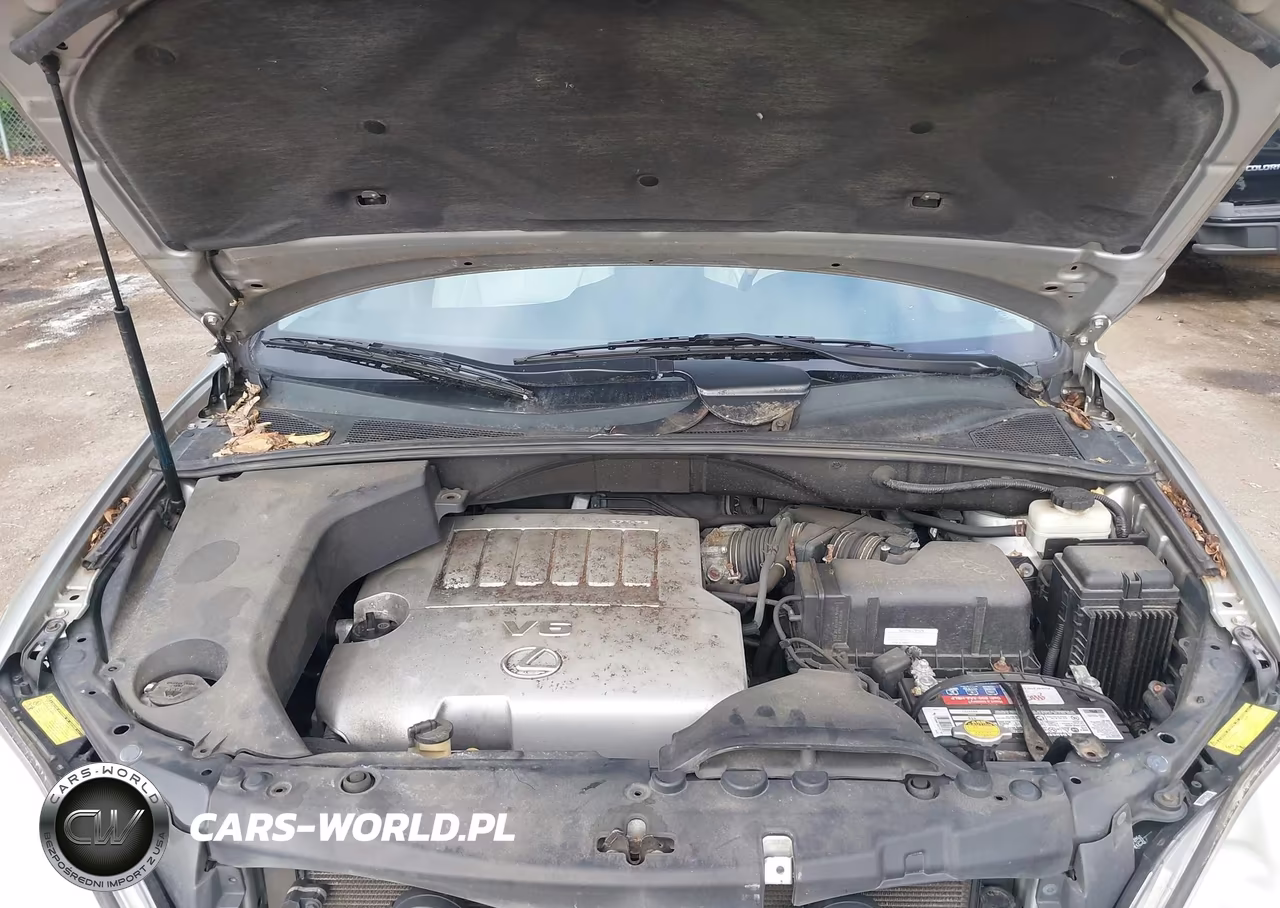 2007 Lexus Rx 350 VIN:2T2HK31U67C046962 - 10