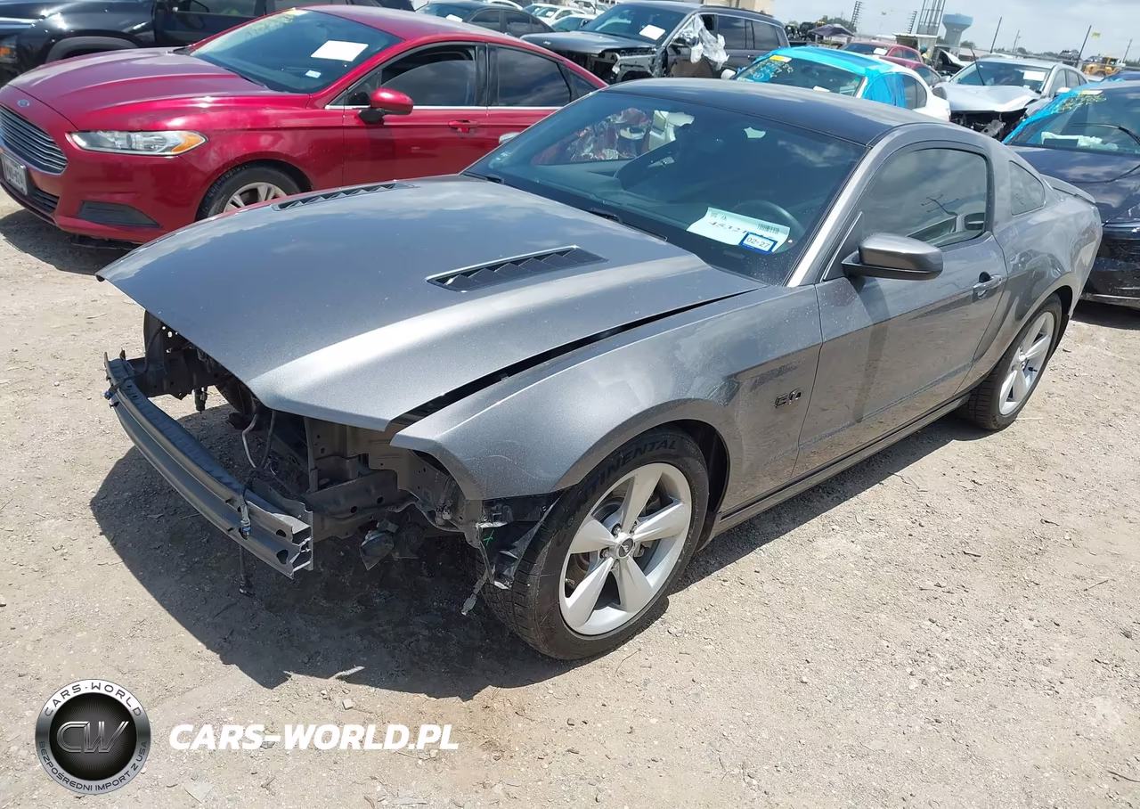 2013 Ford Mustang Gt VIN:1ZVBP8CF3D5278920 - 2