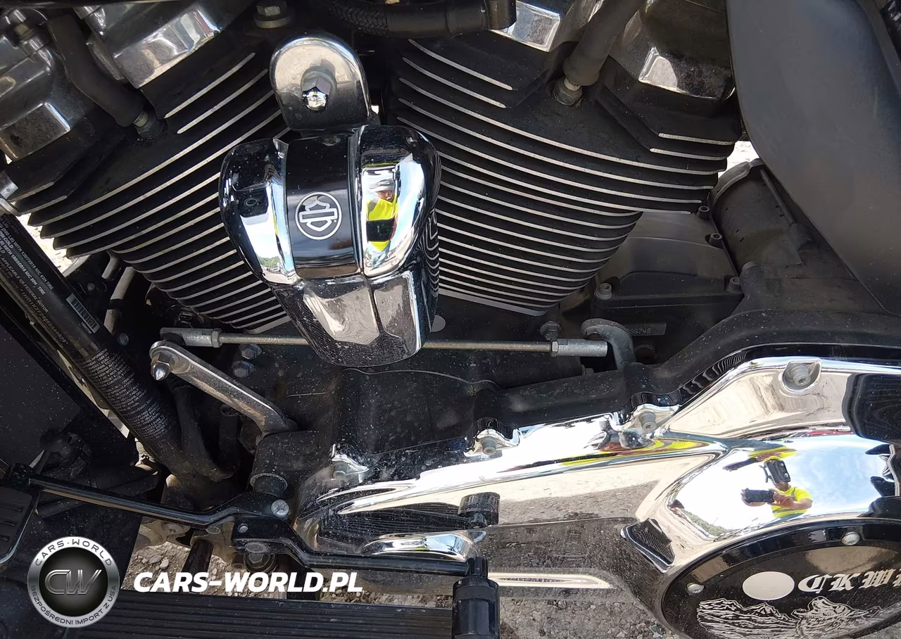 2021 Harley-Davidson Fltrk VIN:1HD1KZF29MB649929 - 9