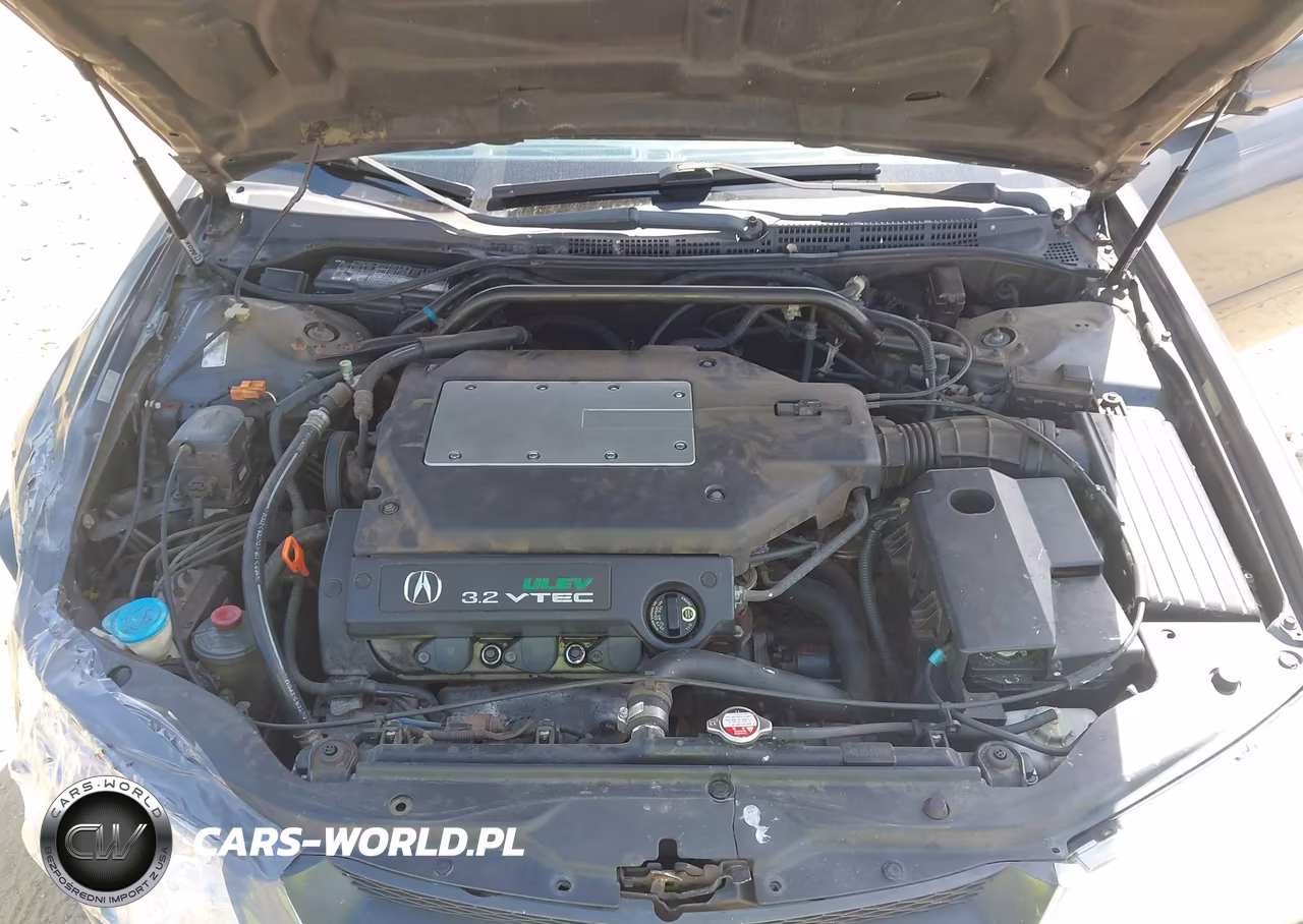 2003 Acura Tl 3.2 VIN:19UUA56683A013523 - 10