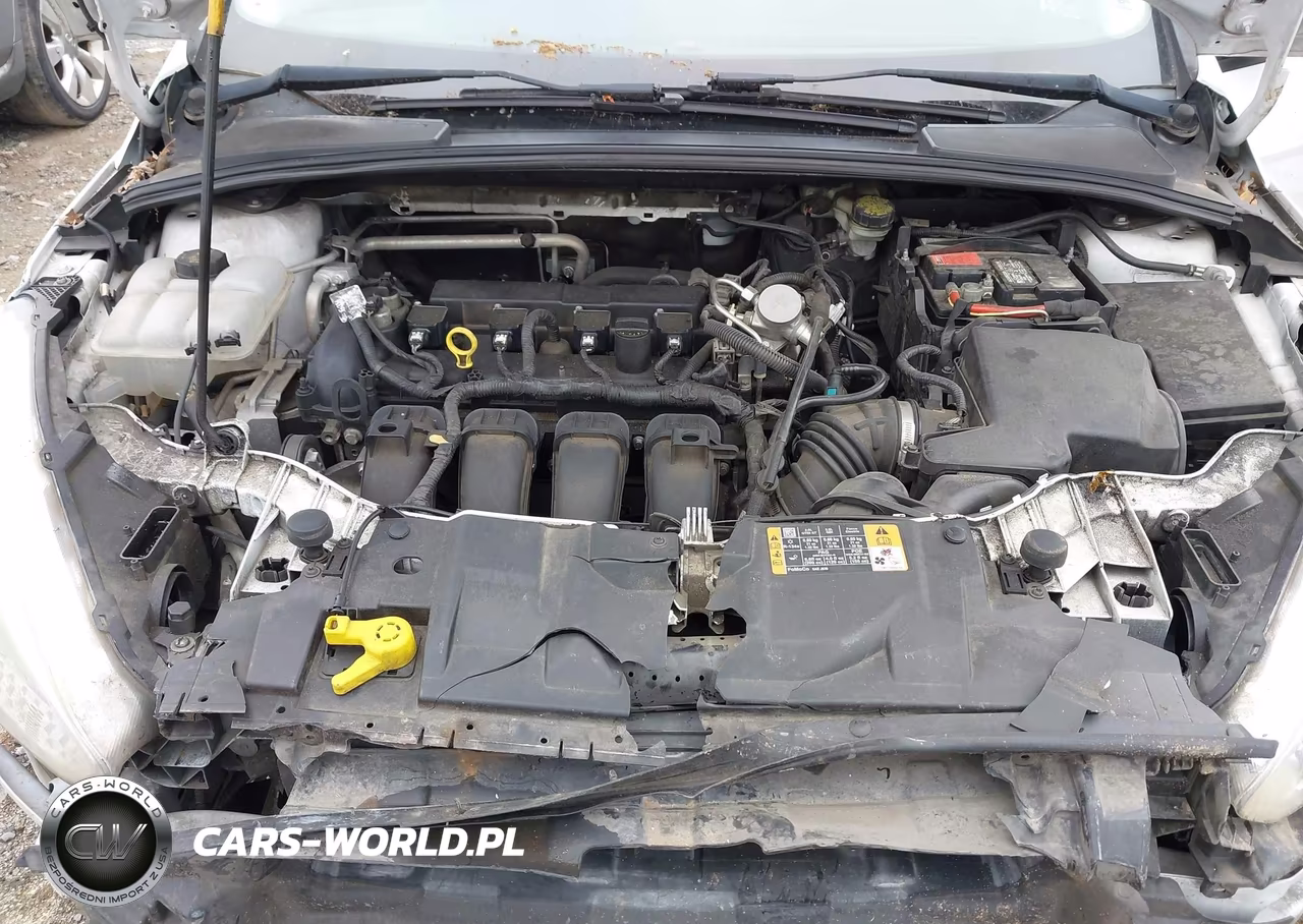 2016 Ford Focus Se VIN:1FADP3K22GL205959 - 10