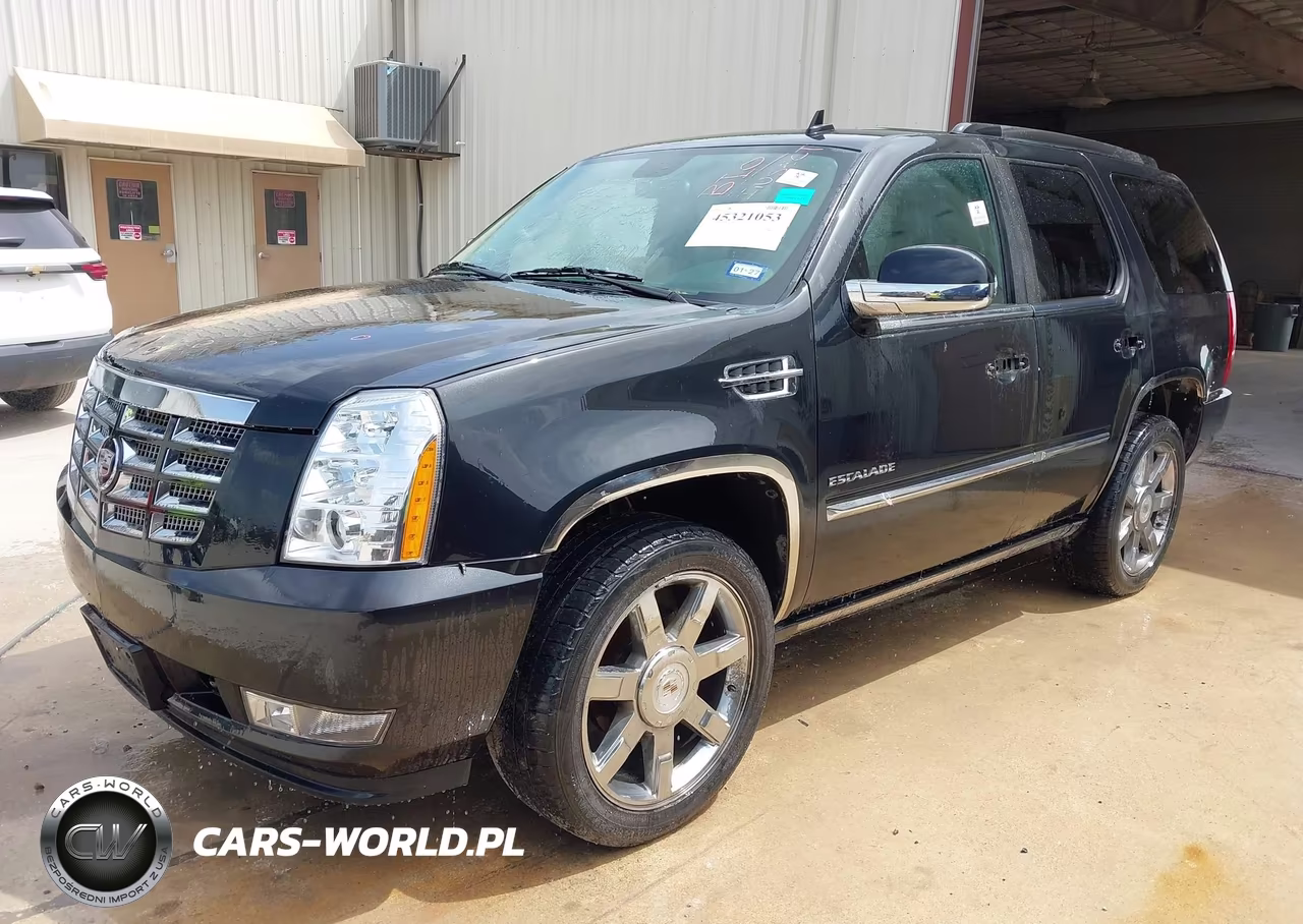 2010 Cadillac Escalade Premium VIN:1GYUCCEF8AR192993 - 2