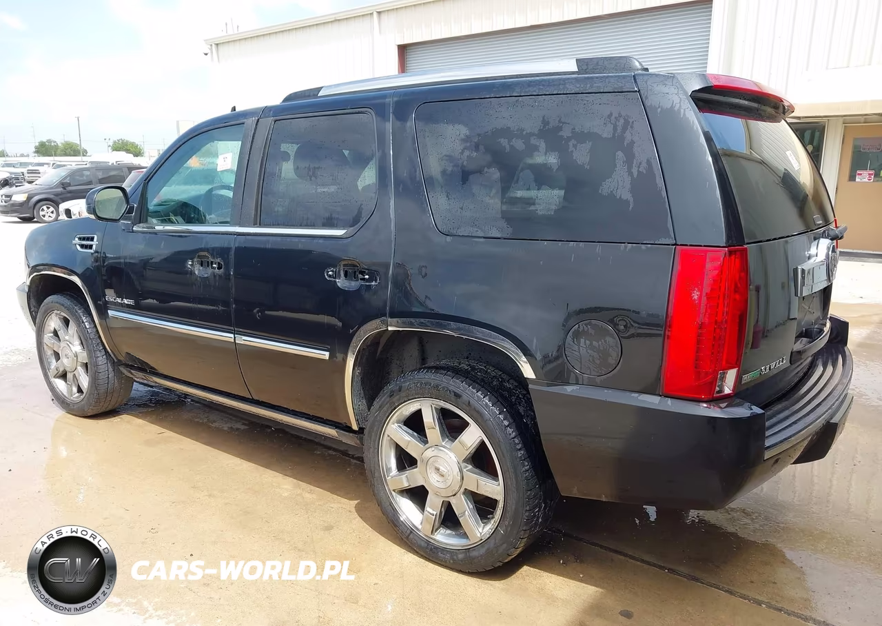 2010 Cadillac Escalade Premium VIN:1GYUCCEF8AR192993 - 3