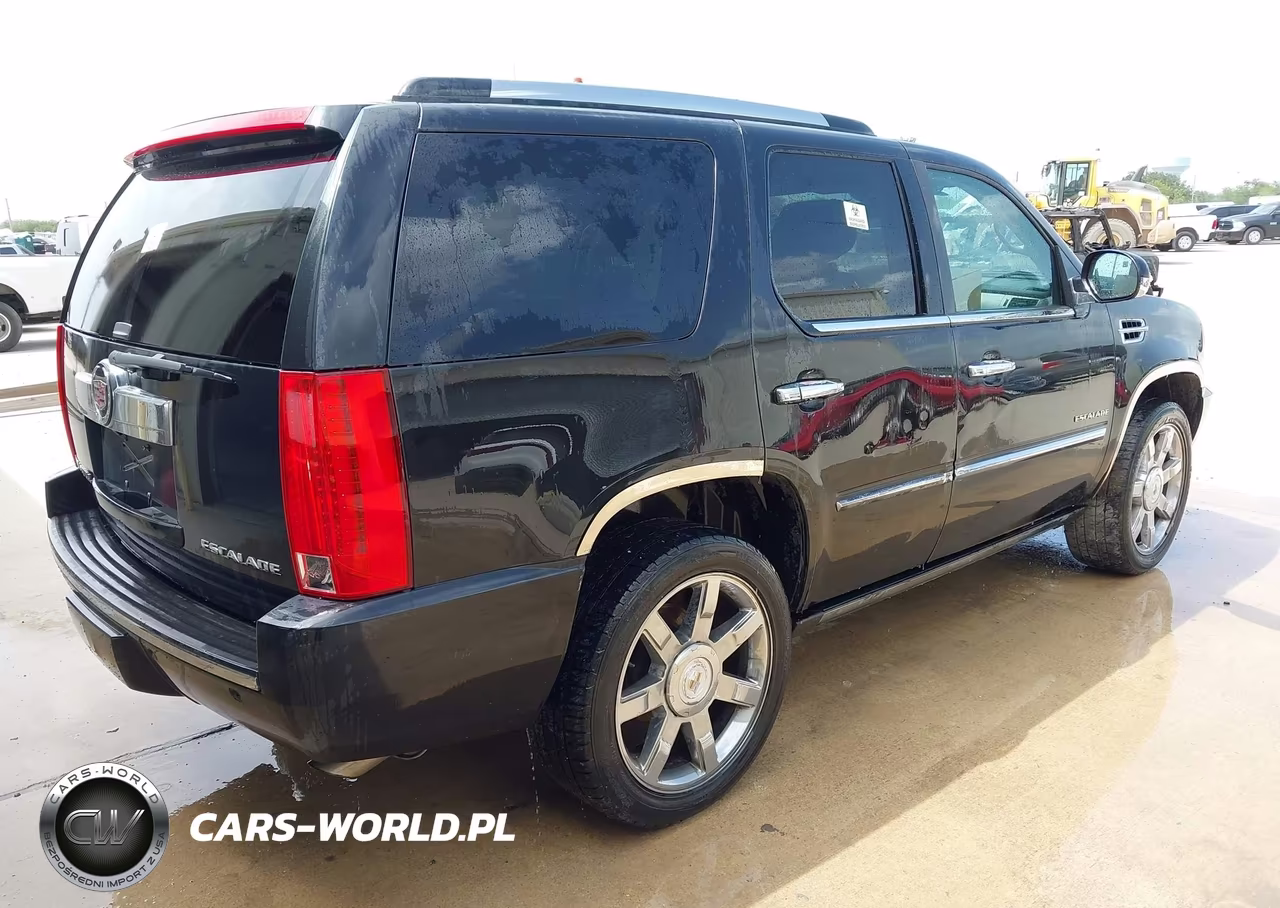 2010 Cadillac Escalade Premium VIN:1GYUCCEF8AR192993 - 4