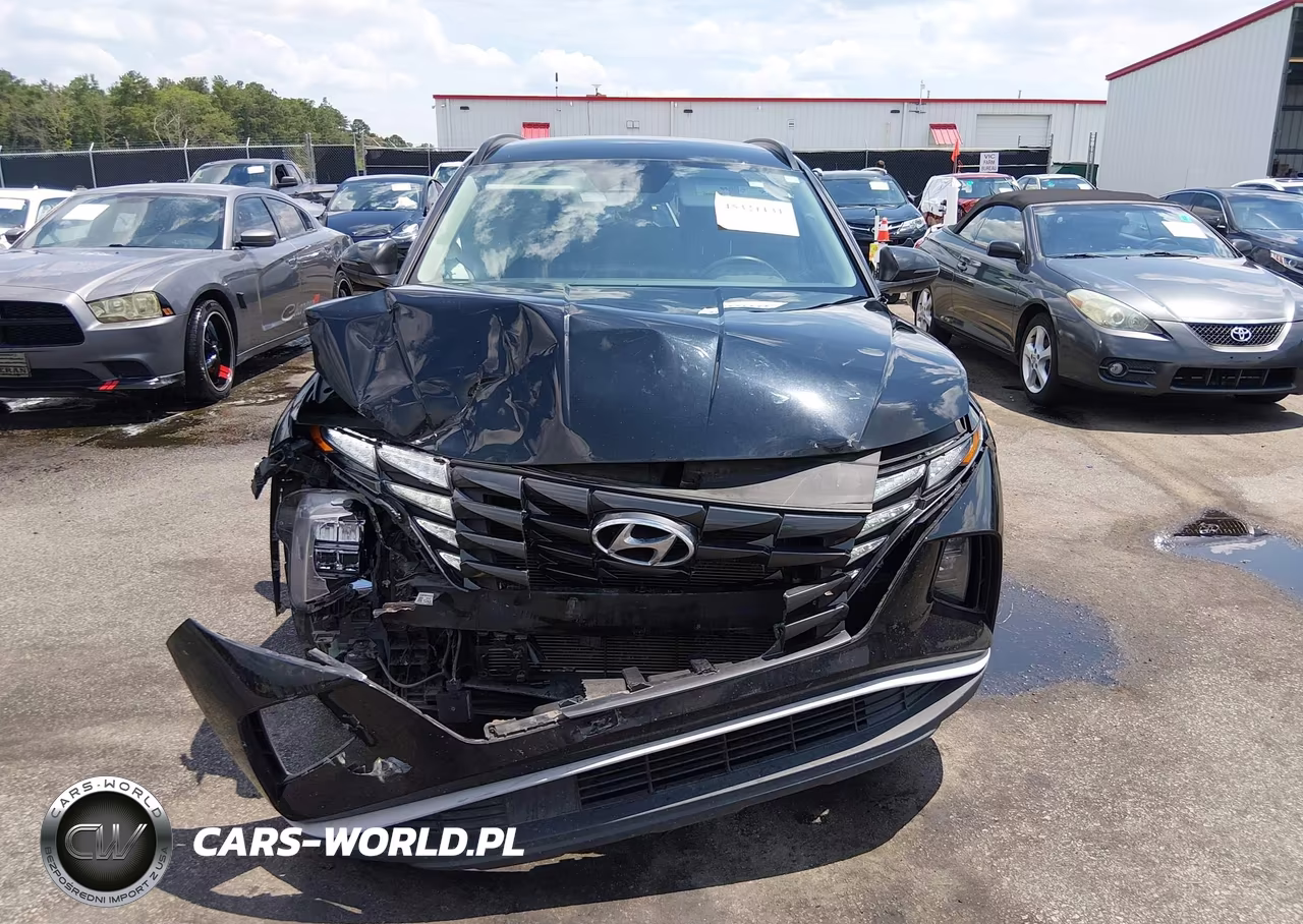 2023 Hyundai Tucson Sel VIN:5NMJB3AEXPH284192 - 12