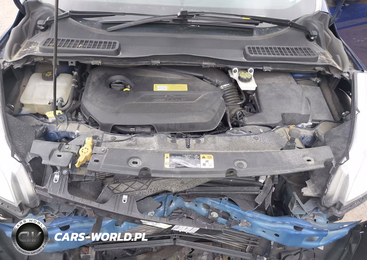 2014 Ford Escape Se VIN:1FMCU0GX0EUA60490 - 10