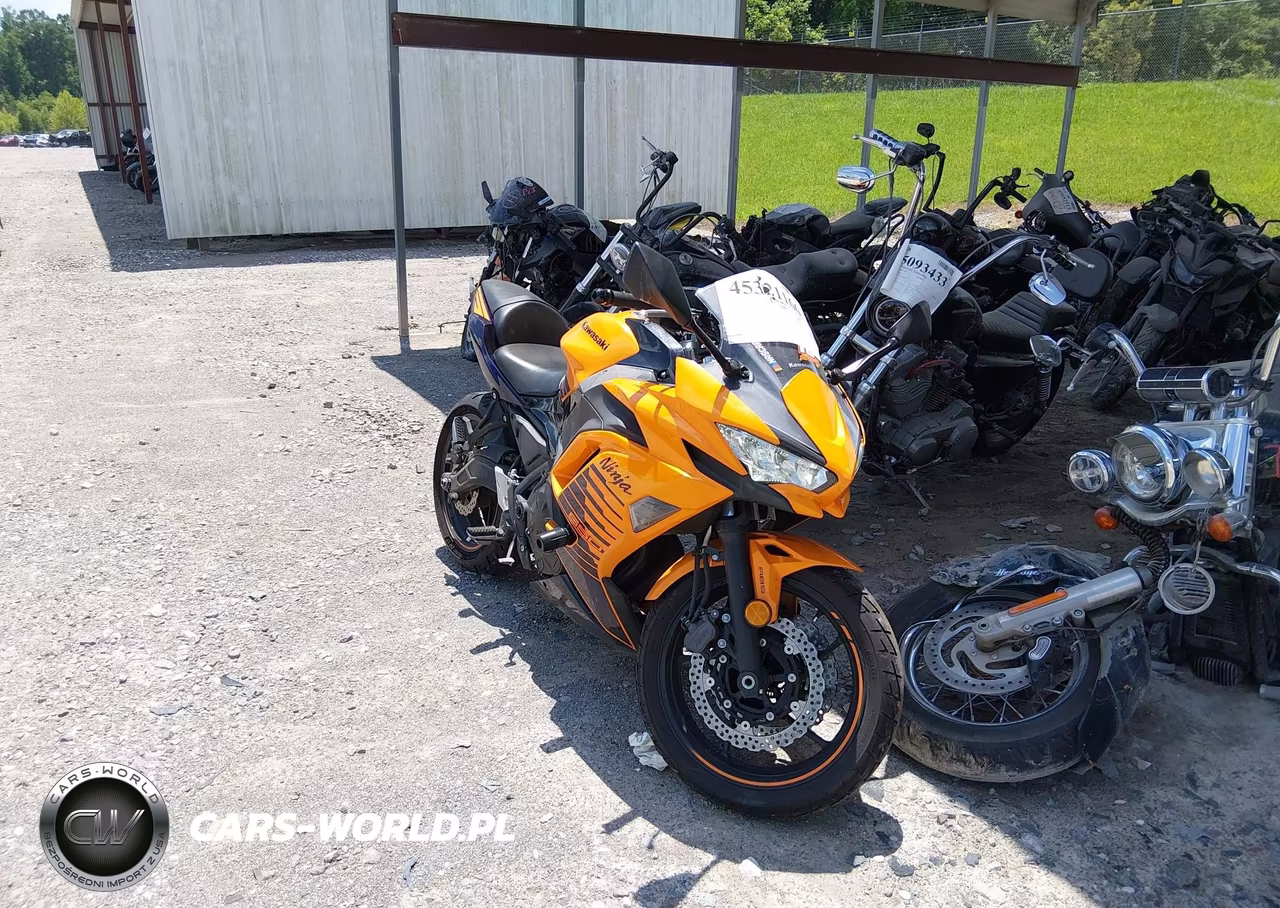 2025 Kawasaki Ex650 P – zdjęcie 1 z 13