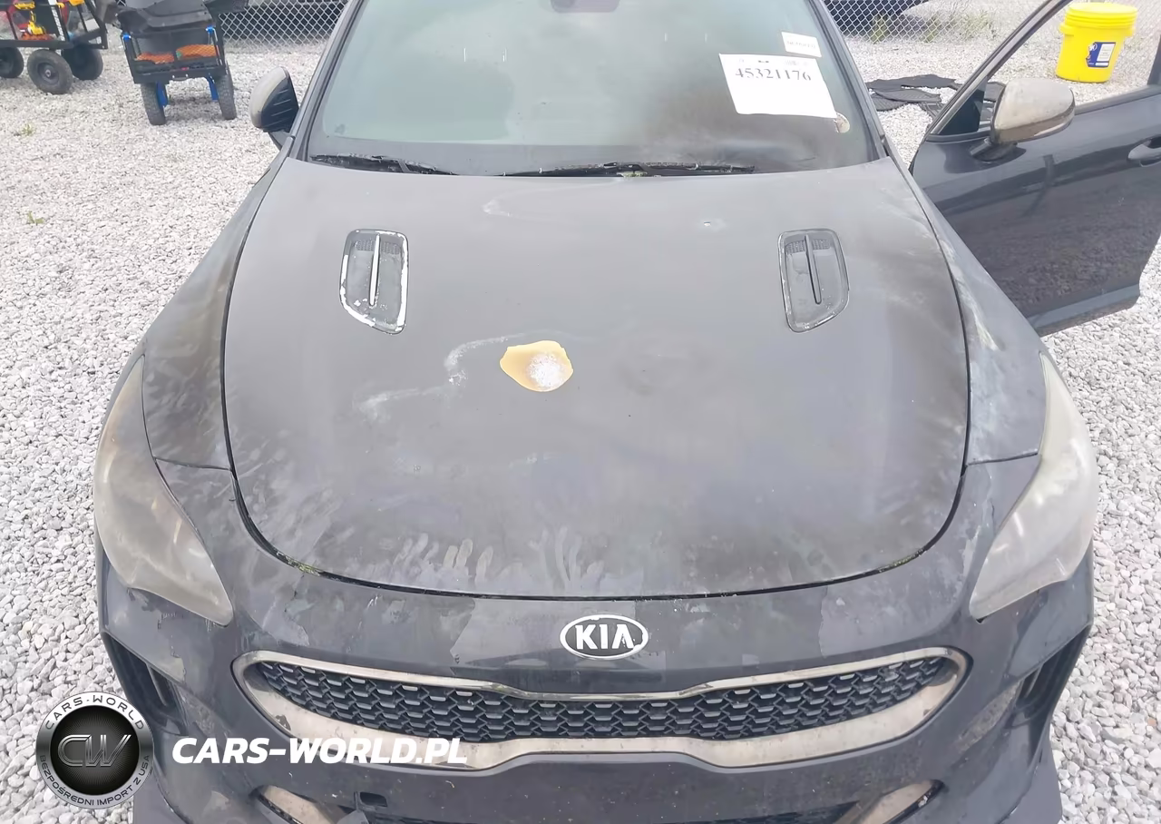2018 Kia Stinger Gt VIN:KNAE35LC0J6039859 - 10