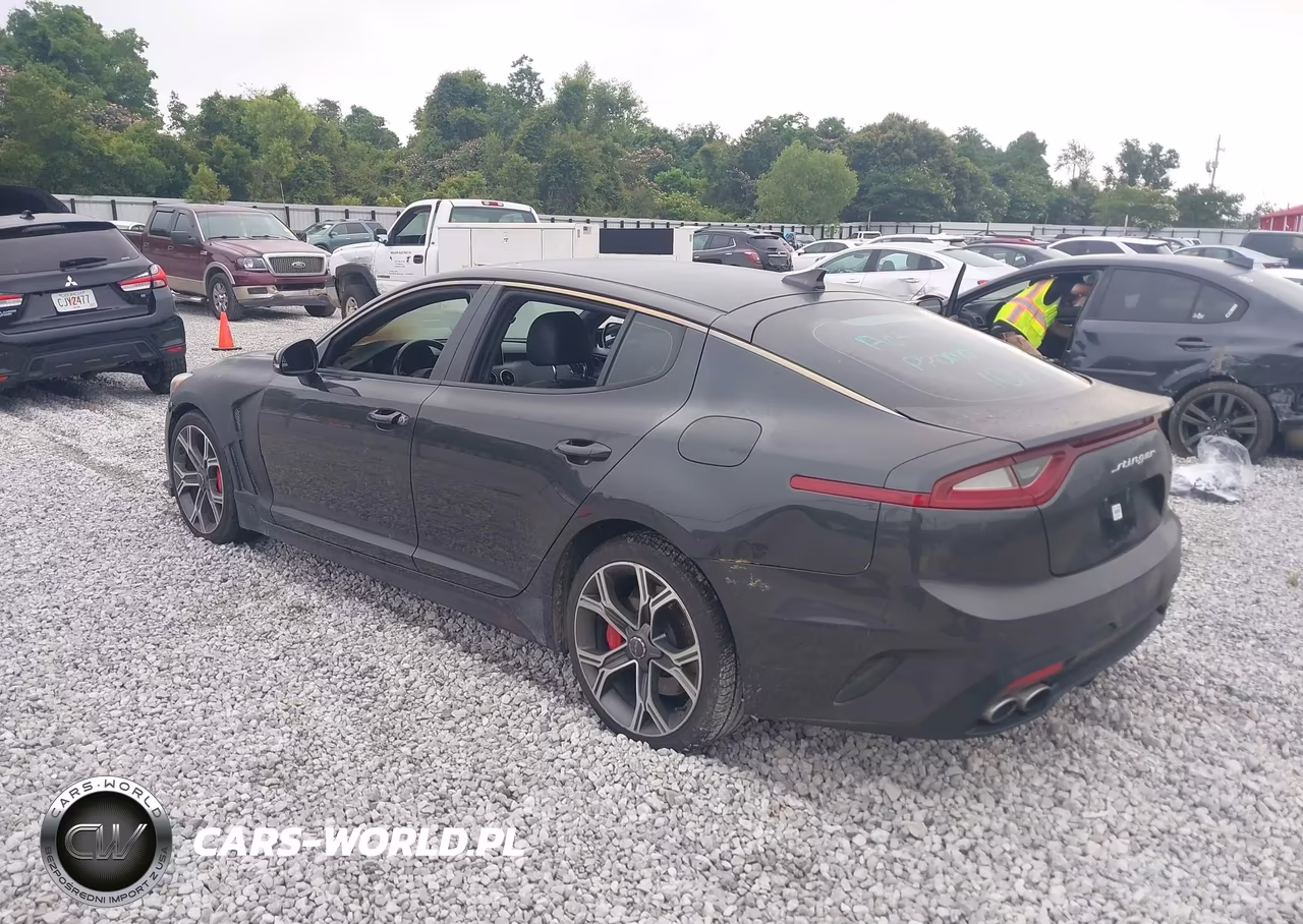 2018 Kia Stinger Gt VIN:KNAE35LC0J6039859 - 3