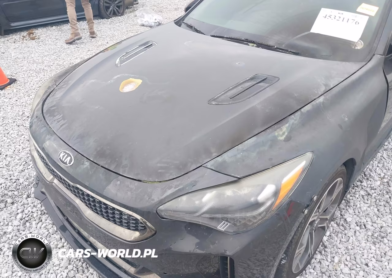 2018 Kia Stinger Gt VIN:KNAE35LC0J6039859 - 6