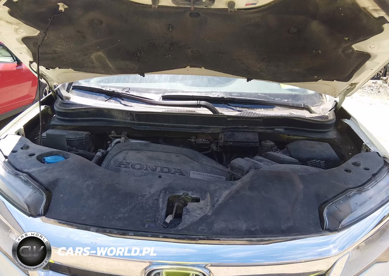 2019 Honda Pilot Elite VIN:5FNYF6H09KB000124 - 10