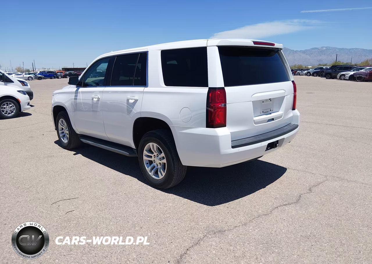 2018 Chevrolet Tahoe Commercial Fleet VIN:1GNSKFECXJR302361 - 3