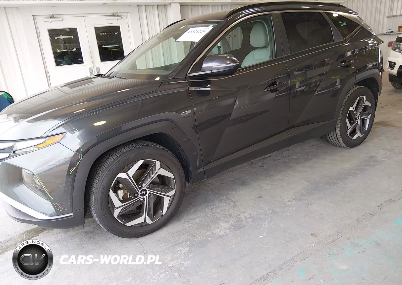 2023 Hyundai Tucson Sel VIN:5NMJF3AE0PH179181 - 2