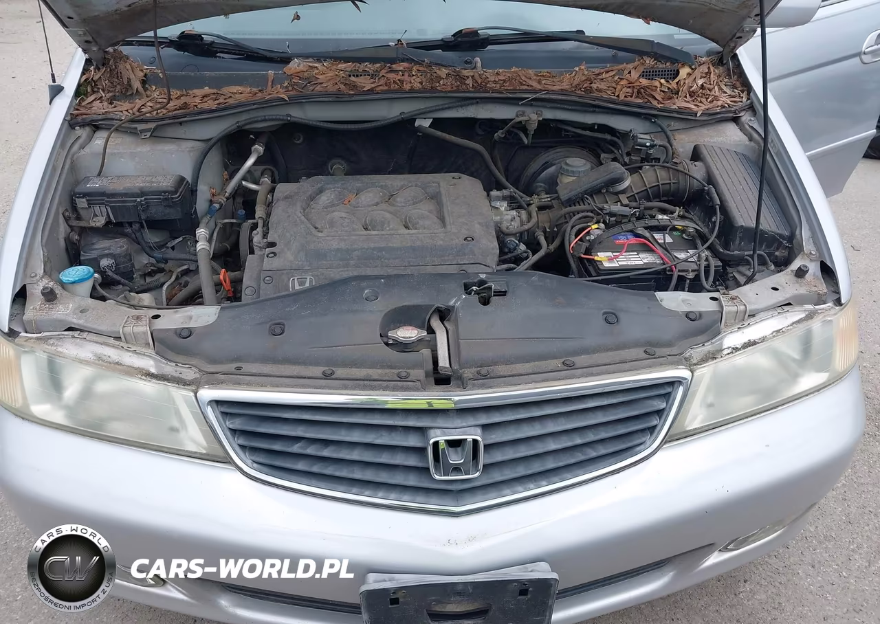 2001 Honda Odyssey Ex VIN:2HKRL186X1H582027 - 10