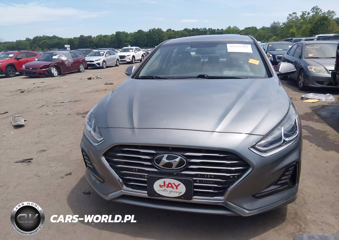 2018 Hyundai Sonata Hybrid Se VIN:KMHE24L30JA082932 - 12