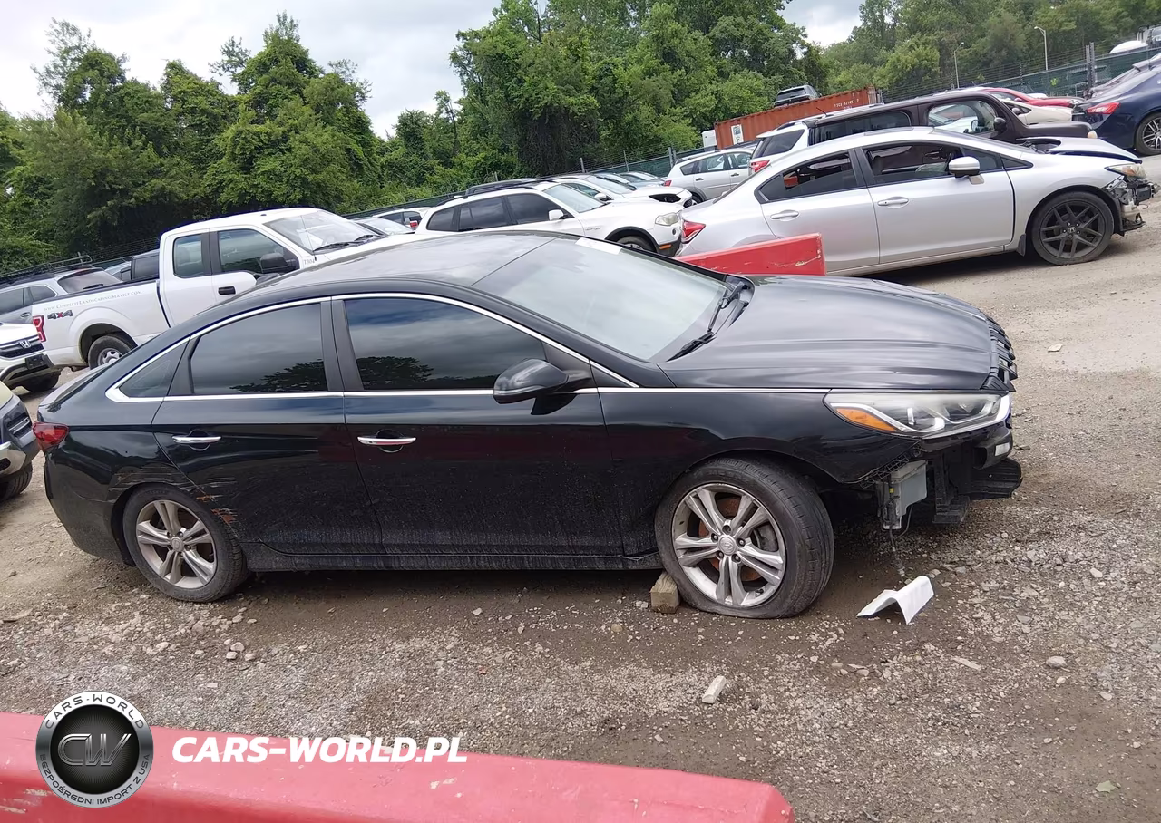 2019 Hyundai Sonata Sel VIN:5NPE34AF7KH780382 - 14