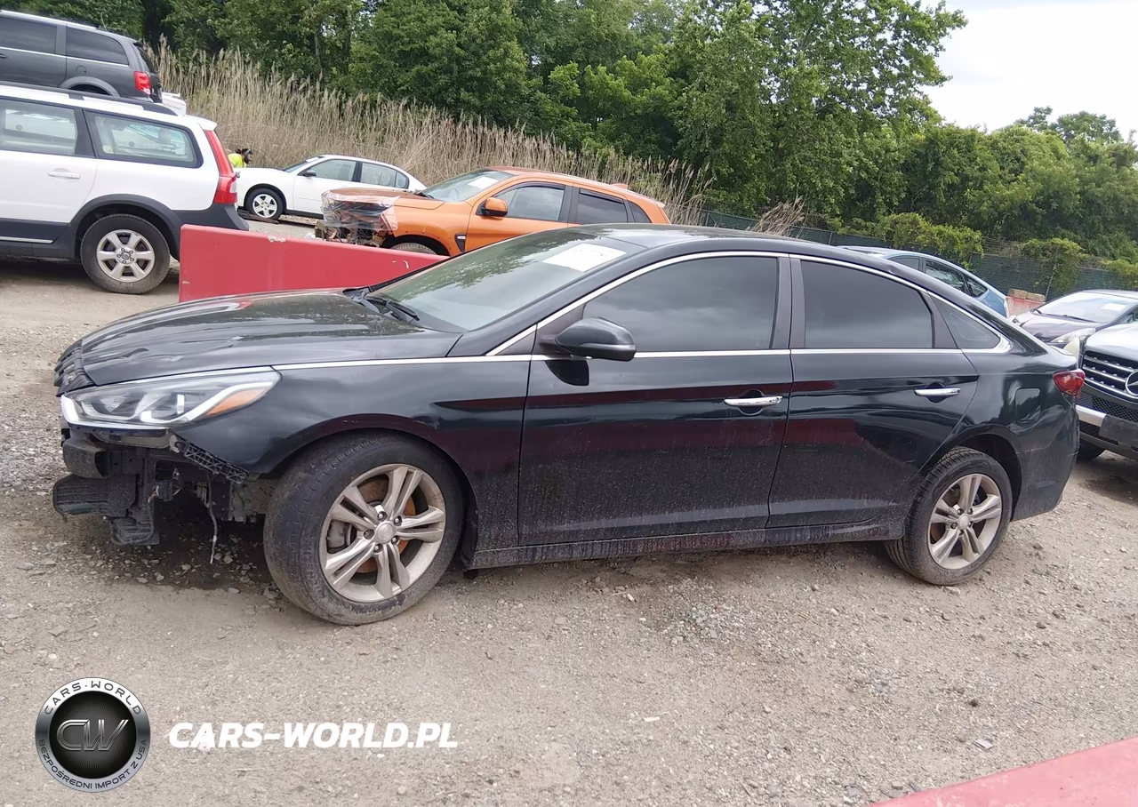 2019 Hyundai Sonata Sel VIN:5NPE34AF7KH780382 - 15