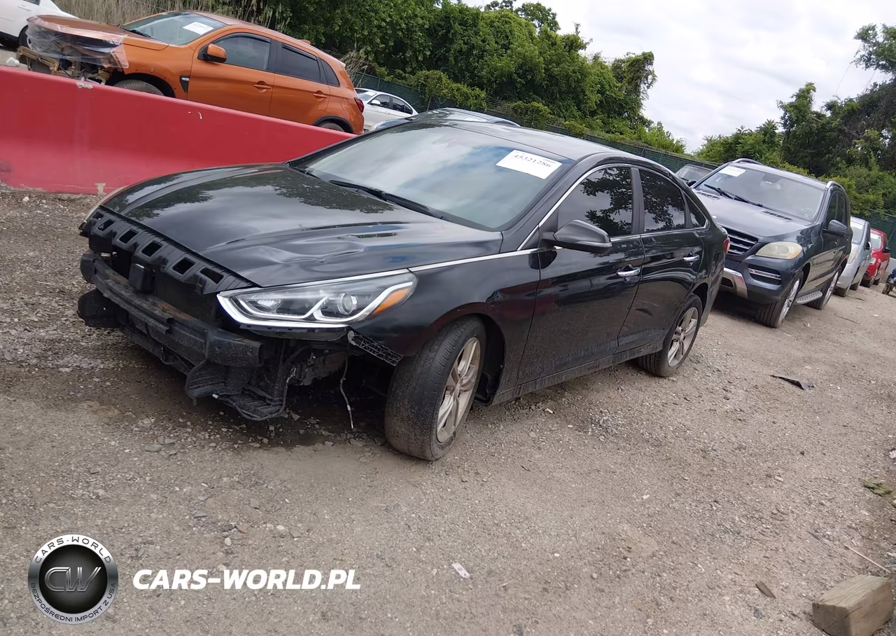 2019 Hyundai Sonata Sel VIN:5NPE34AF7KH780382 - 2