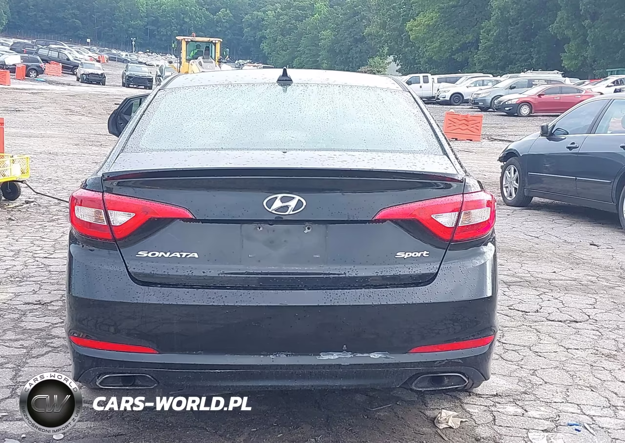 2016 Hyundai Sonata Sport VIN:5NPE34AF1GH352203 - 16