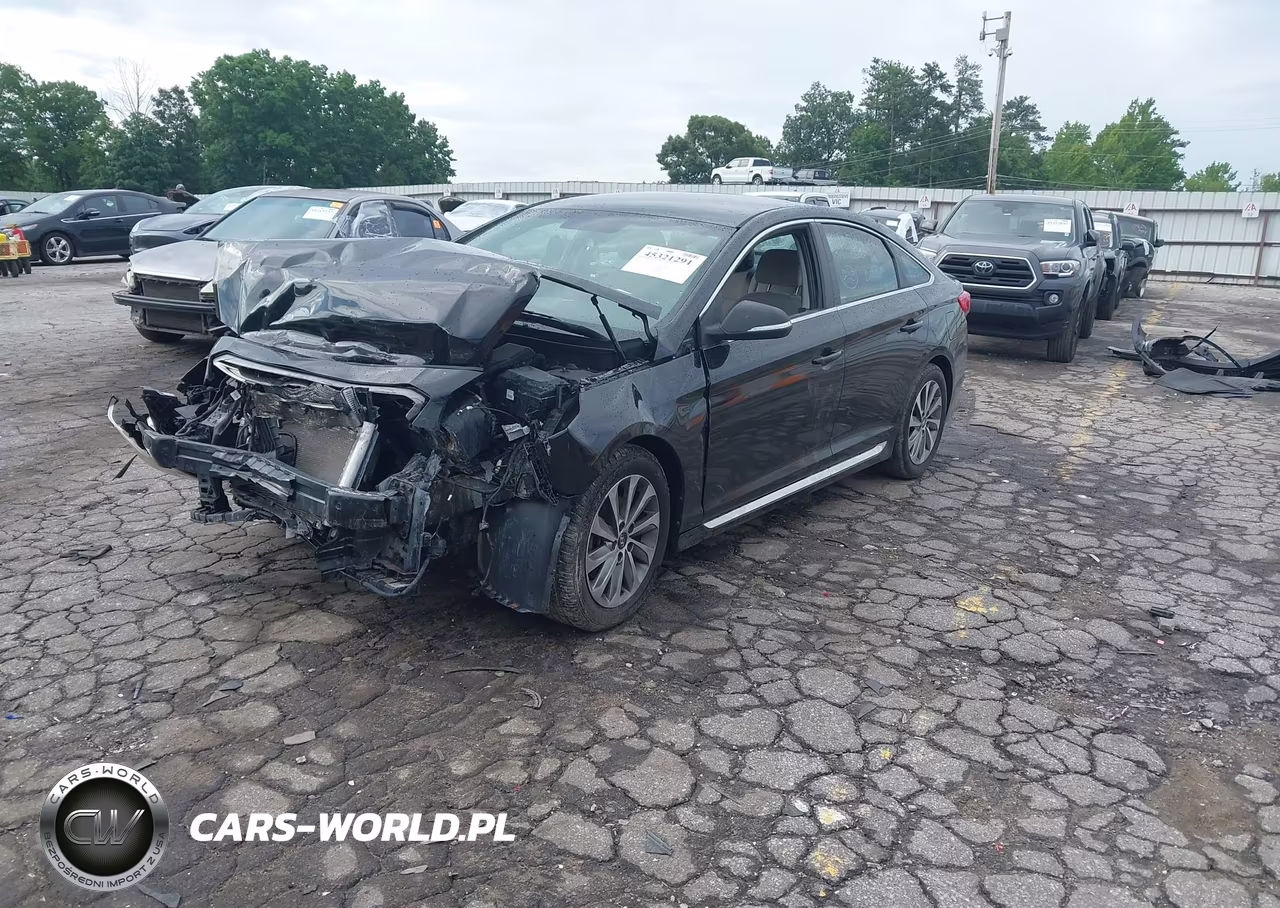 2016 Hyundai Sonata Sport VIN:5NPE34AF1GH352203 - 2