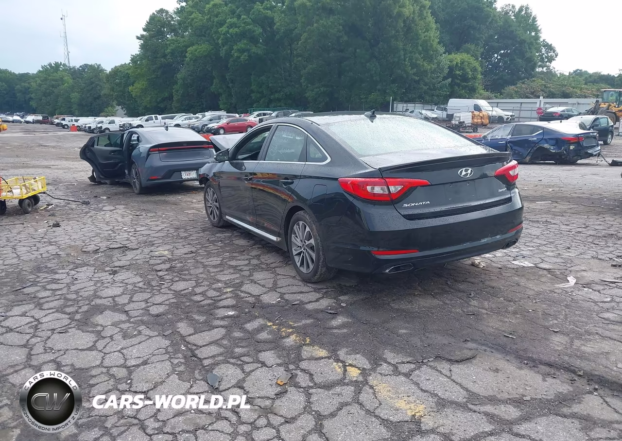 2016 Hyundai Sonata Sport VIN:5NPE34AF1GH352203 - 3