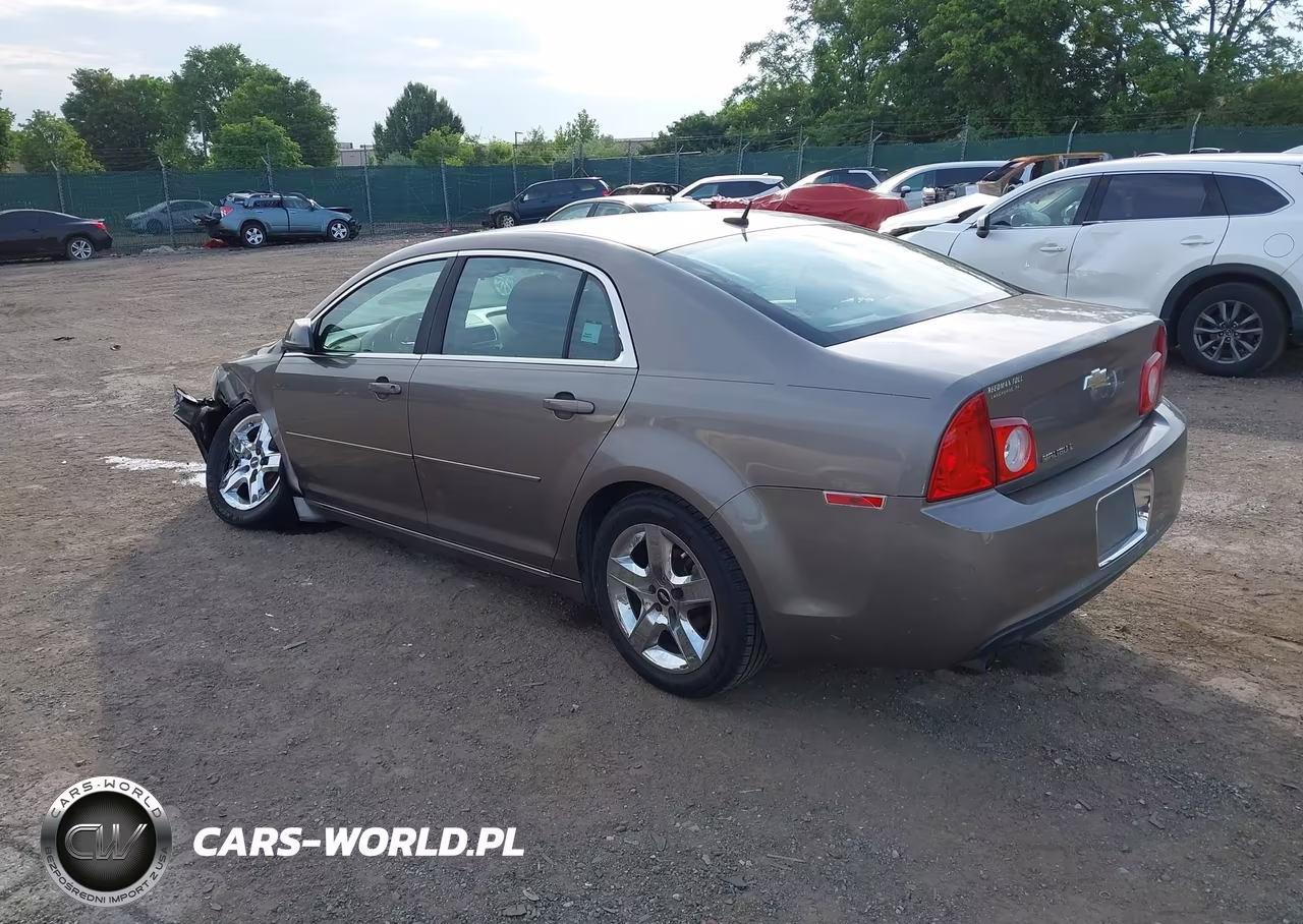 2010 Chevrolet Malibu Lt VIN:1G1ZC5EB9AF297881 - 3