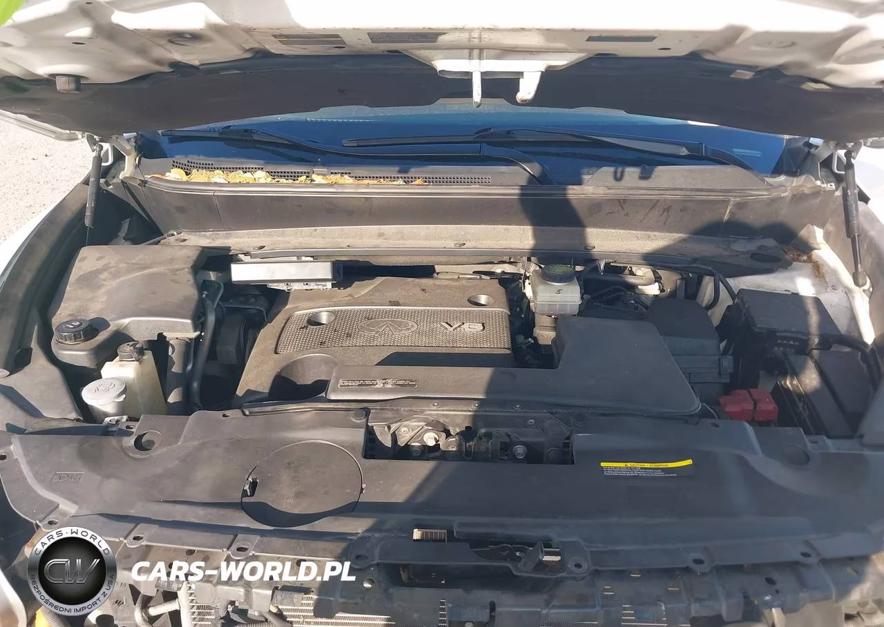 2014 Infiniti Qx60 VIN:5N1AL0MN7EC509313 - 10