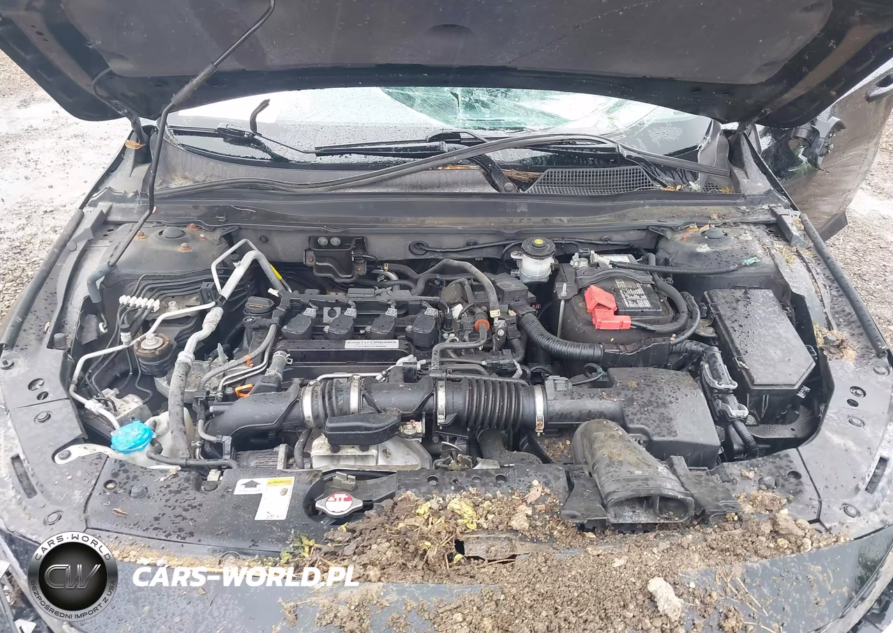 2019 Honda Accord Sport VIN:1HGCV1F34KA160659 - 10