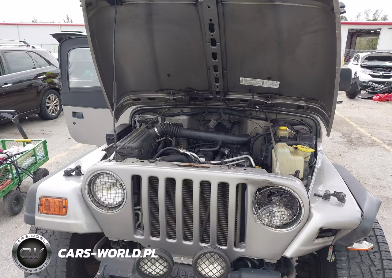 2002 Jeep Wrangler Sport VIN:1J4FA49S62P701472 - 10