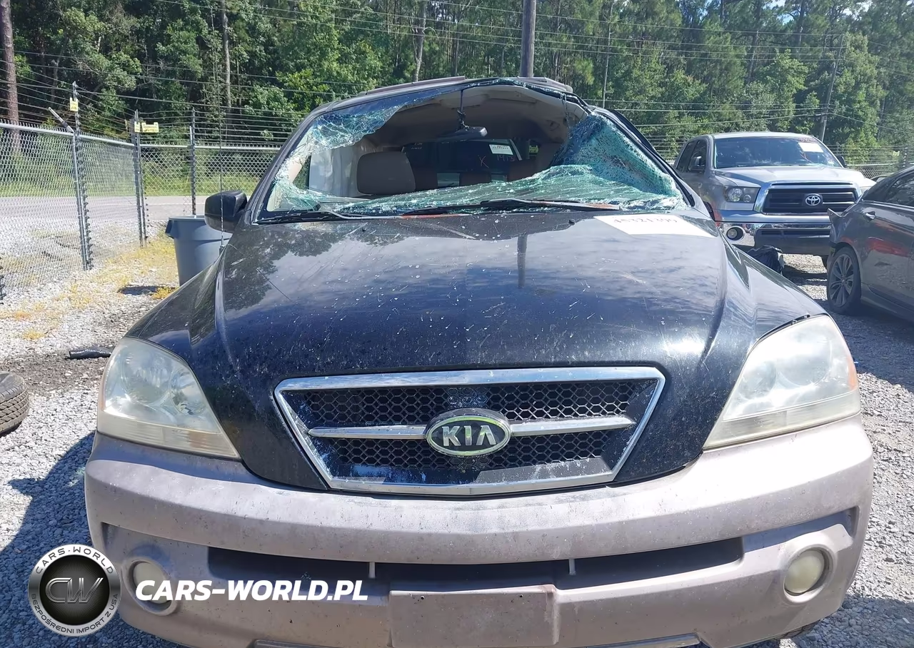 2003 Kia Sorento Ex-Lx VIN:KNDJD733535043831 - 12
