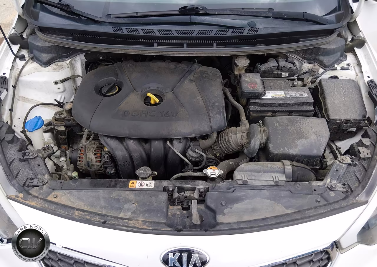 2014 Kia Forte Lx VIN:KNAFX4A66E5209203 - 10