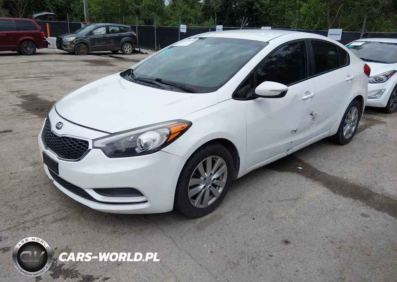 2014 Kia Forte Lx VIN:KNAFX4A66E5209203 - 2