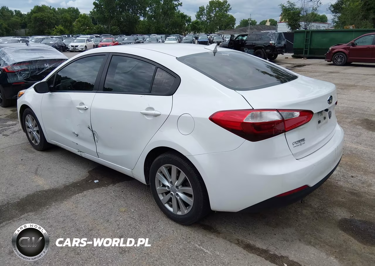 2014 Kia Forte Lx VIN:KNAFX4A66E5209203 - 3