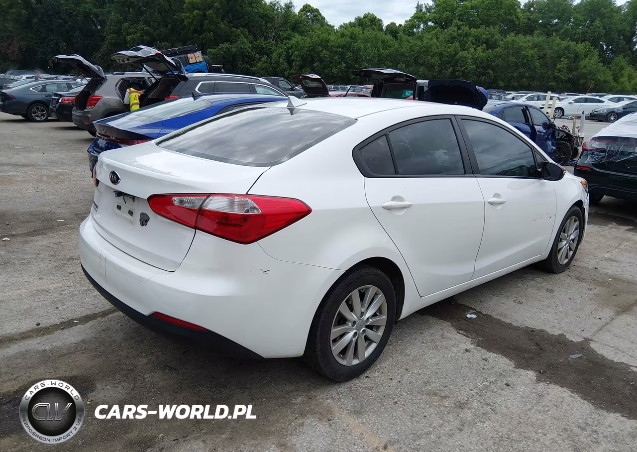 2014 Kia Forte Lx VIN:KNAFX4A66E5209203 - 4