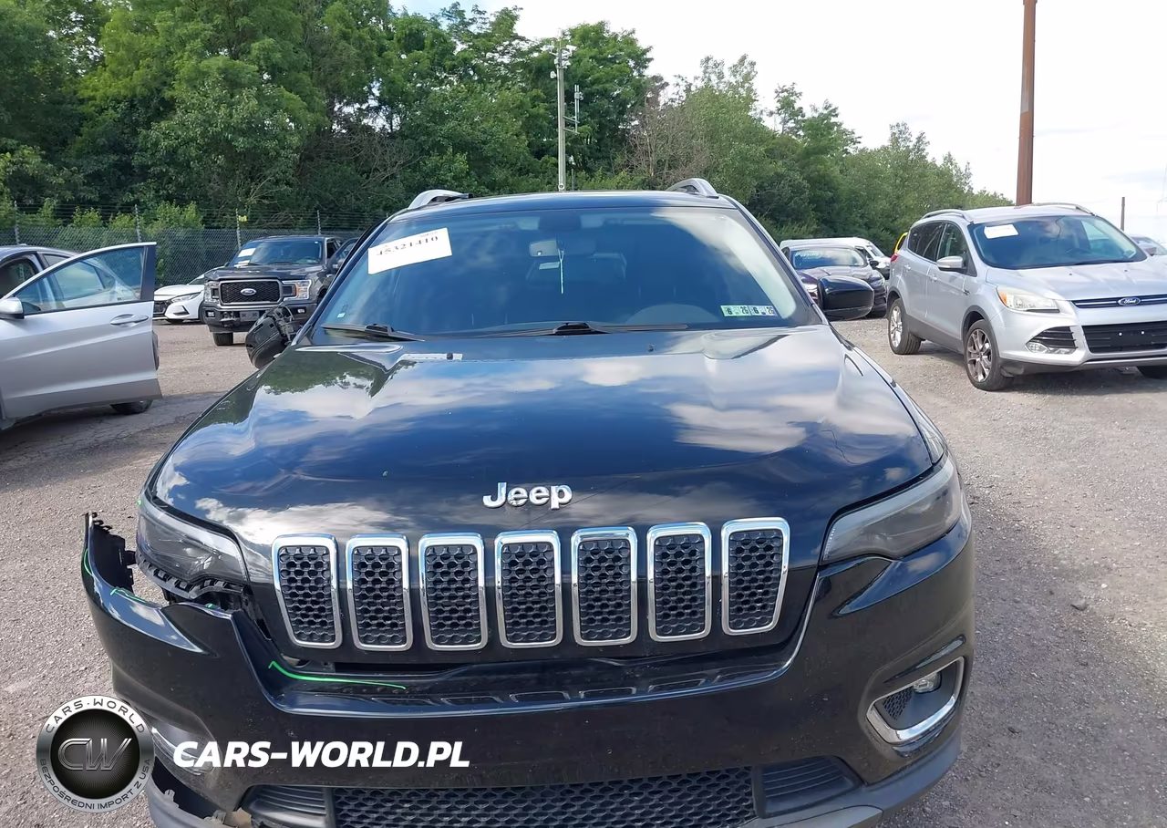 2019 Jeep Cherokee Limited 4X4 VIN:1C4PJMDX4KD156046 - 12