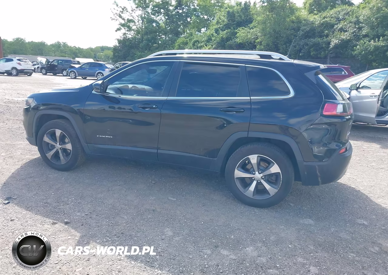 2019 Jeep Cherokee Limited 4X4 VIN:1C4PJMDX4KD156046 - 3