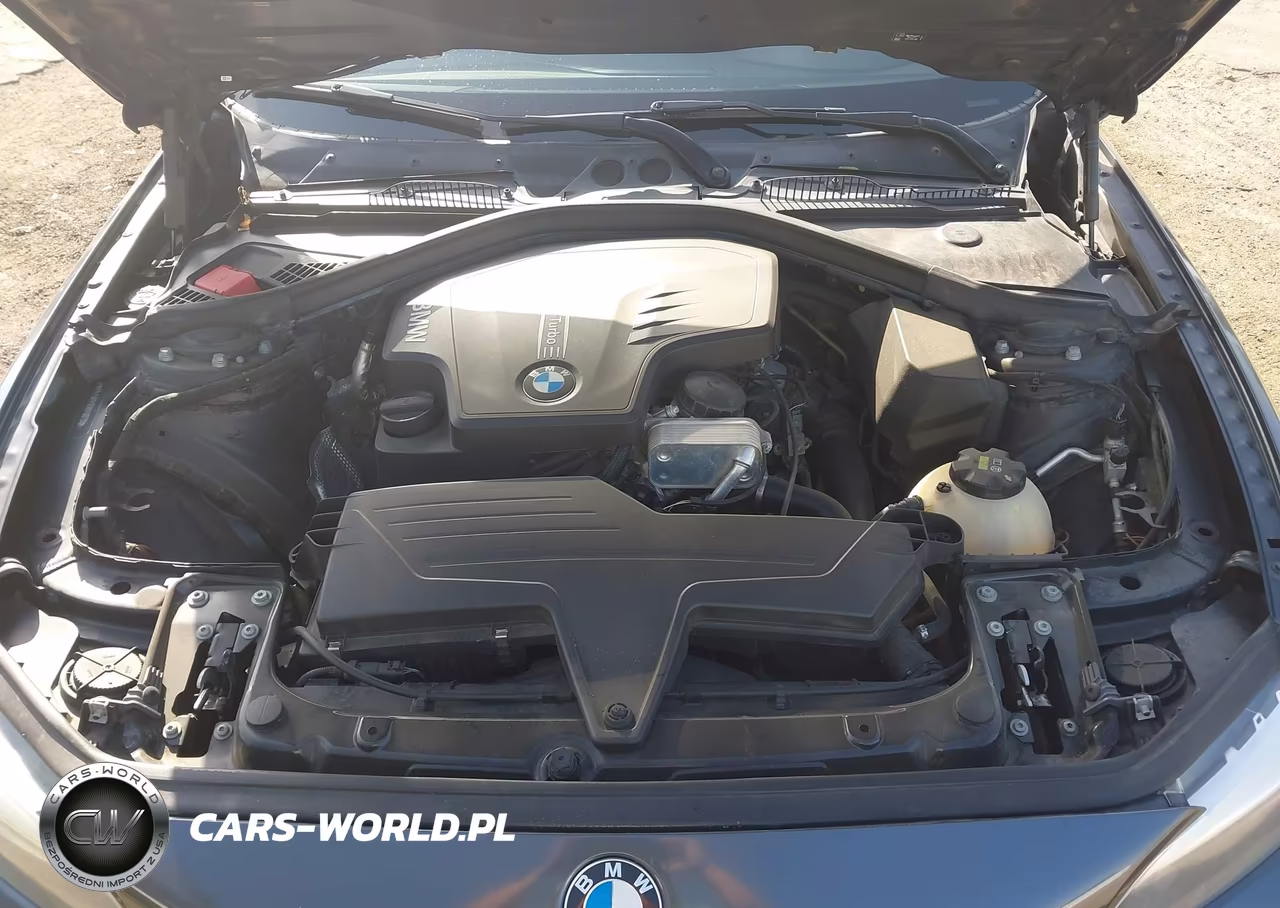 2016 BMW 228I VIN:WBA1F9C53GV546610 - 10