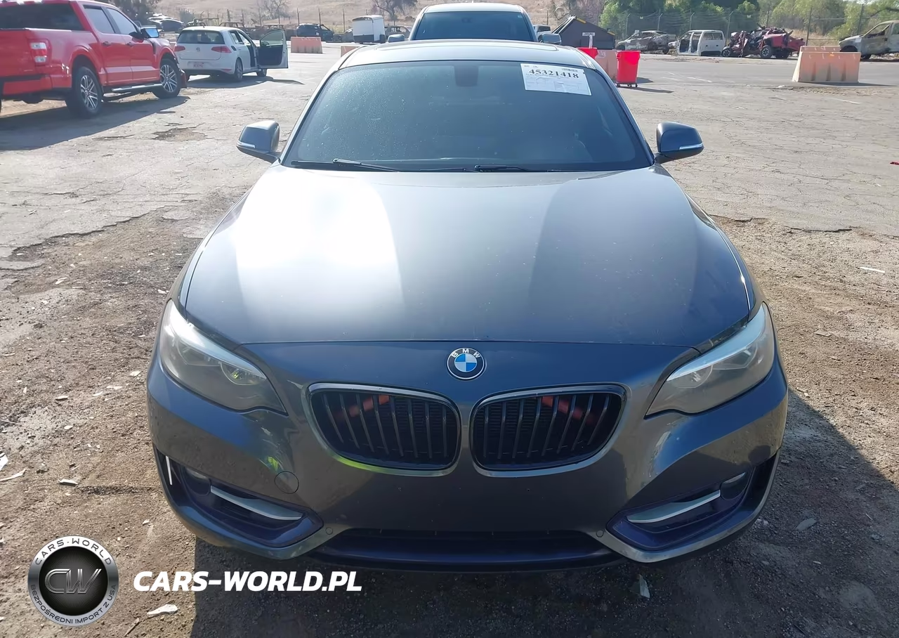 2016 BMW 228I VIN:WBA1F9C53GV546610 - 12