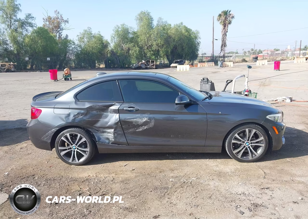 2016 BMW 228I VIN:WBA1F9C53GV546610 - 13