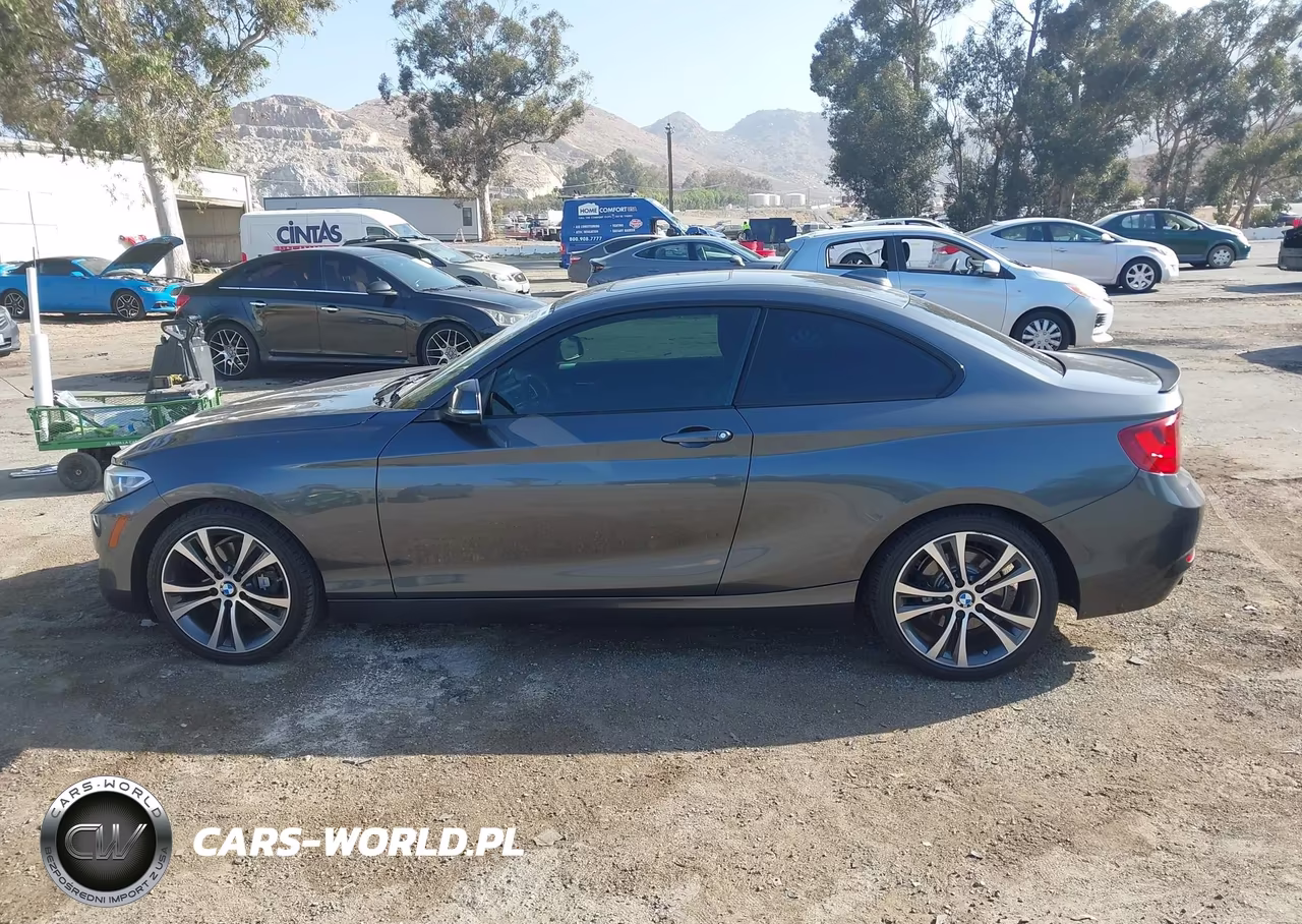 2016 BMW 228I VIN:WBA1F9C53GV546610 - 14