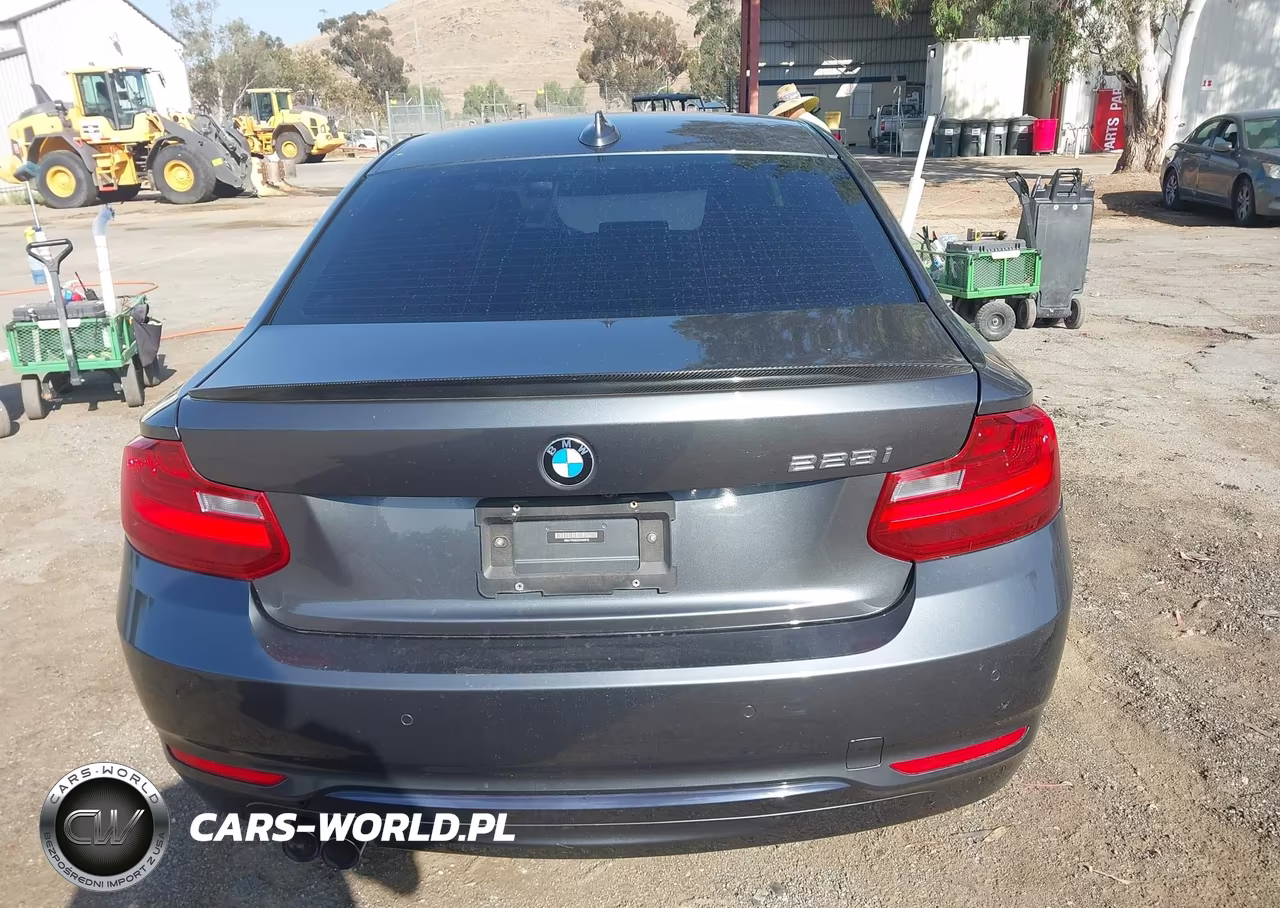 2016 BMW 228I VIN:WBA1F9C53GV546610 - 16