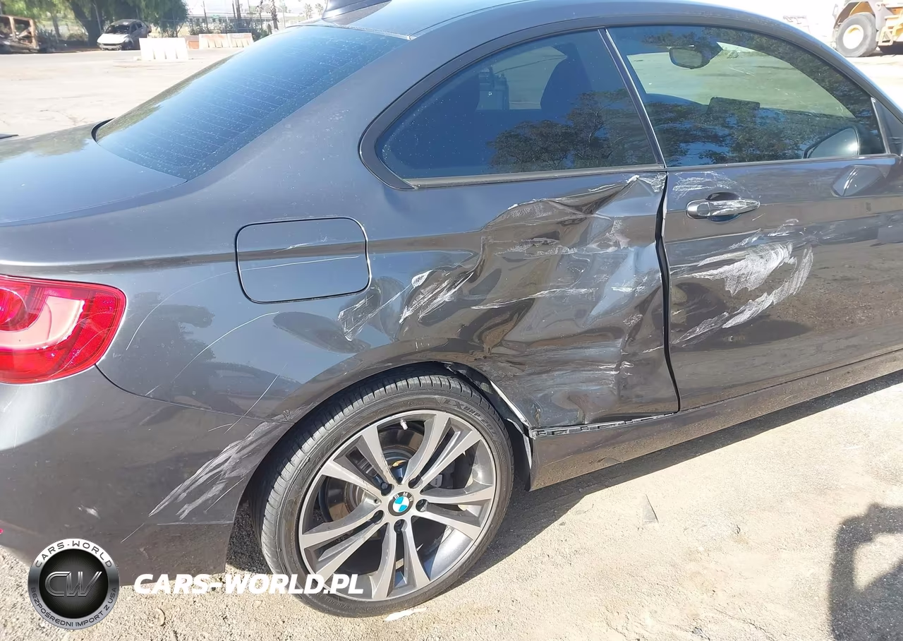 2016 BMW 228I VIN:WBA1F9C53GV546610 - 17