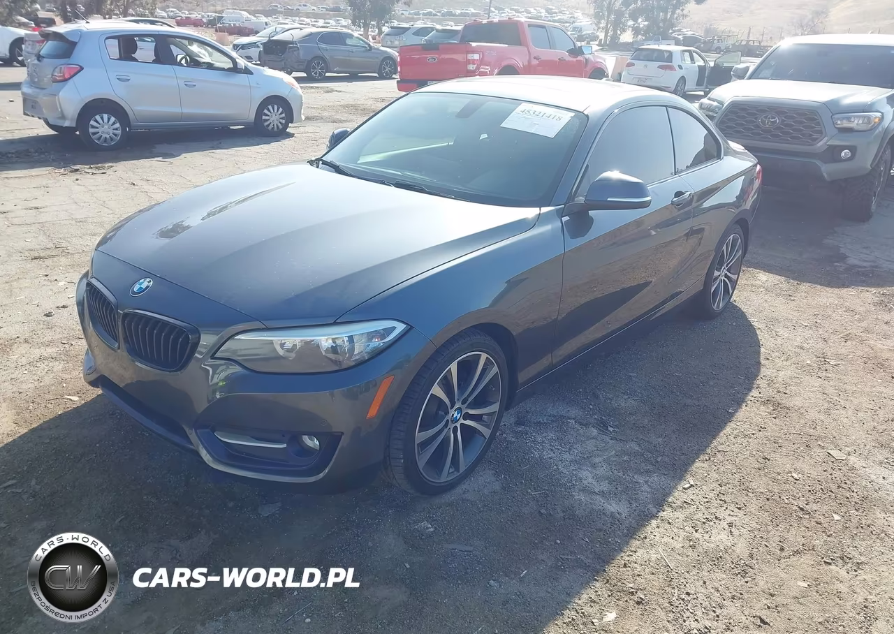 2016 BMW 228I VIN:WBA1F9C53GV546610 - 2