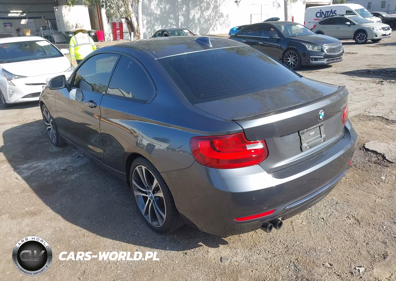 2016 BMW 228I VIN:WBA1F9C53GV546610 - 3